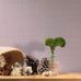 Флизелиновые обои Cheviot, производства Loymina, арт.SD2 012/2, с имитацией текстиля, в интерьере квартиры, заказать онлайн